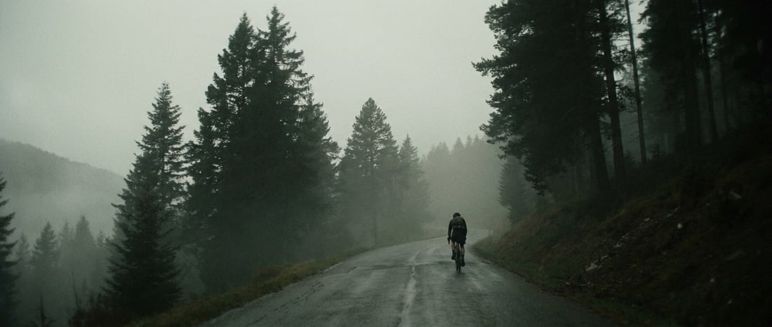 A cyclist climbing a wet mountain road through fog and pine forest.